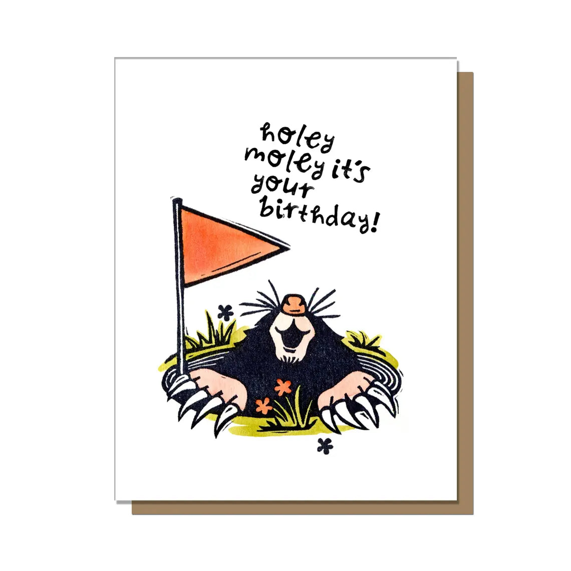 Birthday Cards- Cheeky Beak Co