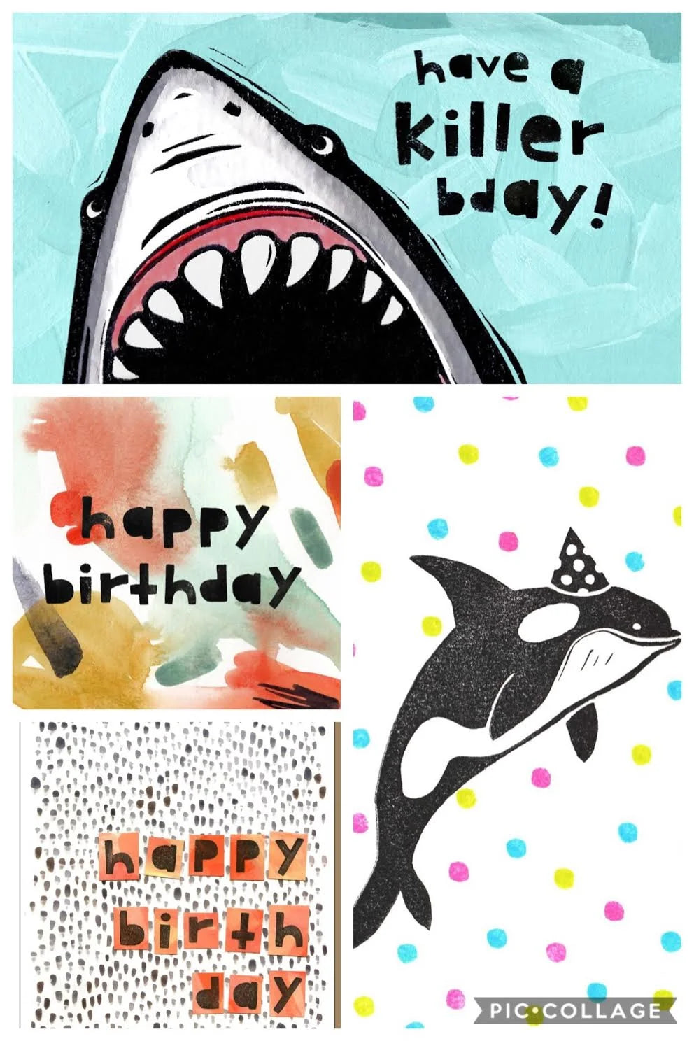 Birthday Cards- Cheeky Beak Co