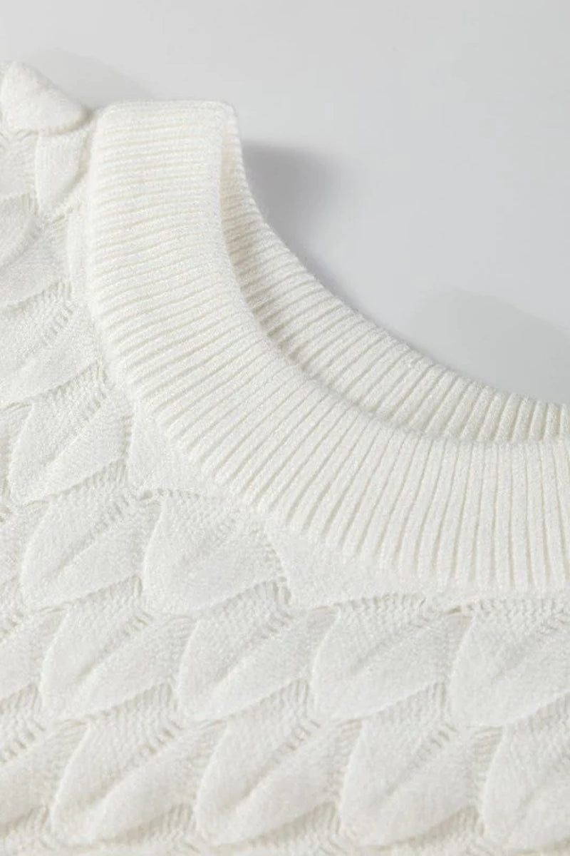 Fish Scale Textured Knit Short Sleeve Sweater