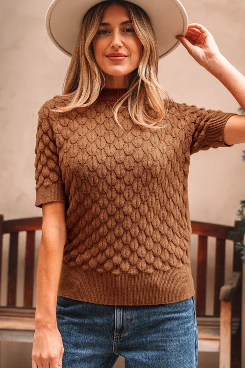 Fish Scale Textured Knit Short Sleeve Sweater